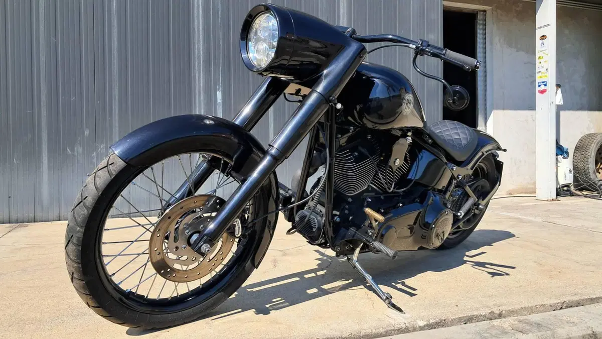 Harley-Davidson 1584 Custom (2008 - 09) - FXSTC (5)