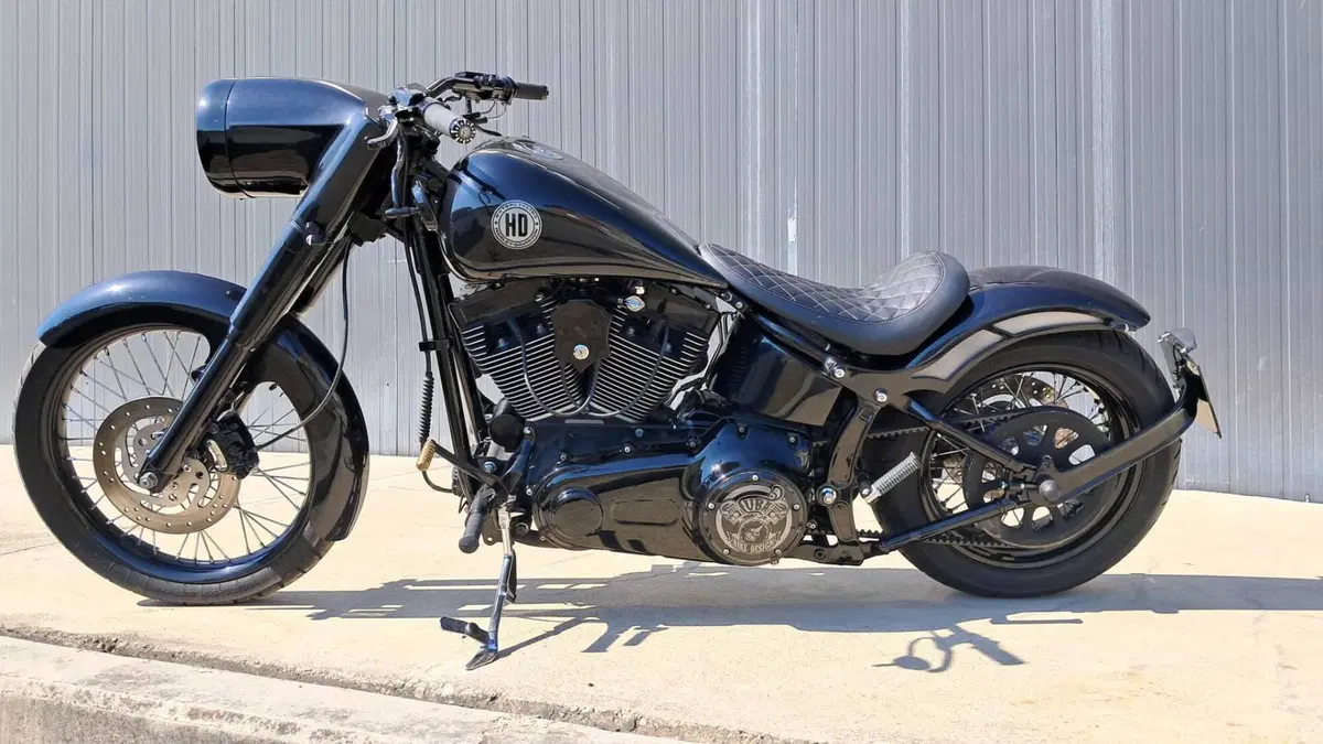 Harley-Davidson 1584 Custom (2008 - 09) - FXSTC (6)