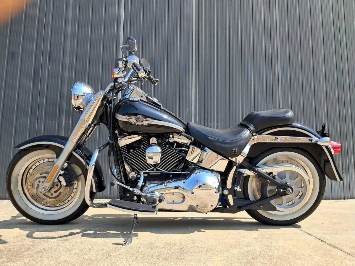 Harley-Davidson Fat Boy (2)