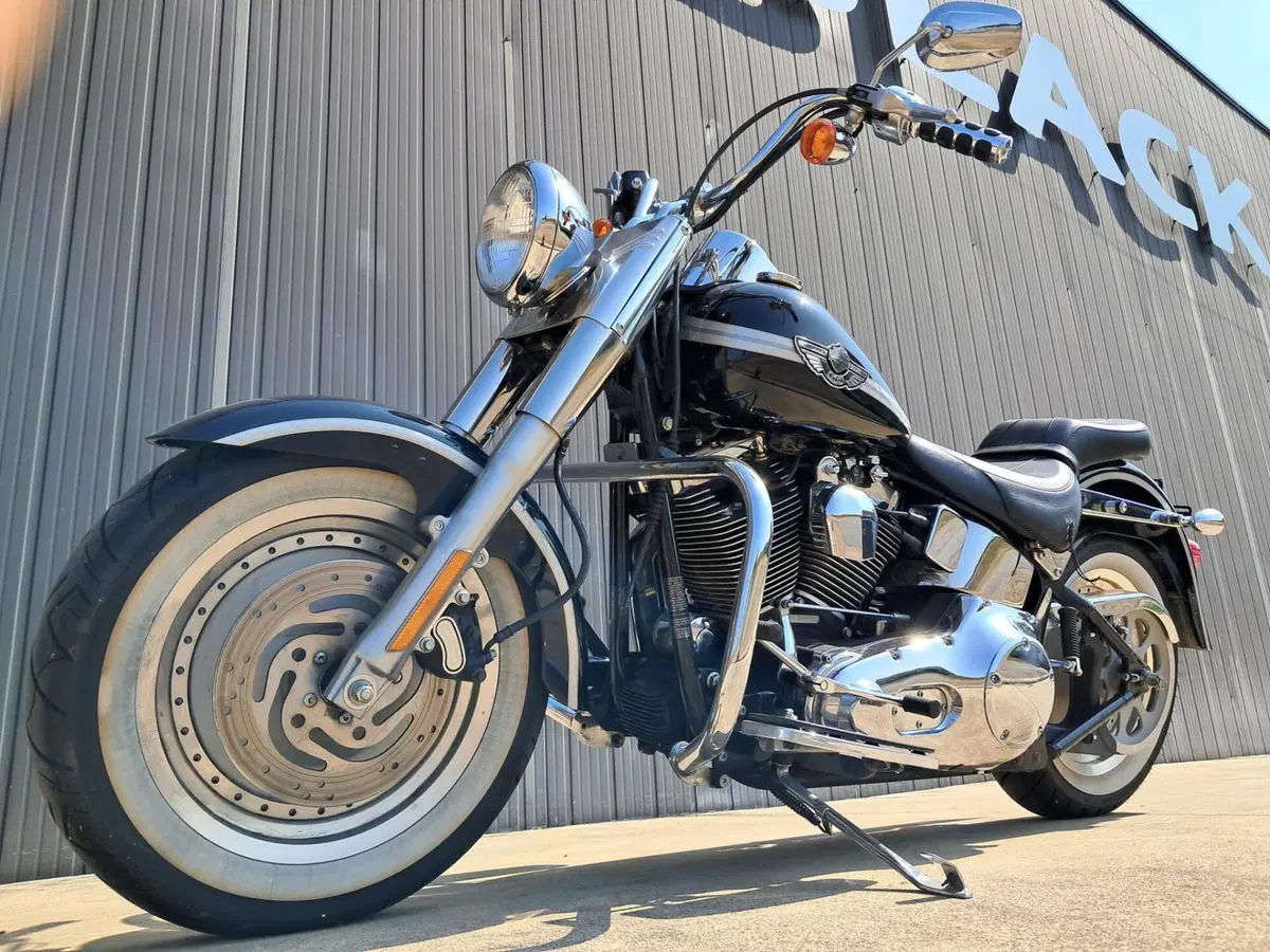 Harley-Davidson Fat Boy (3)
