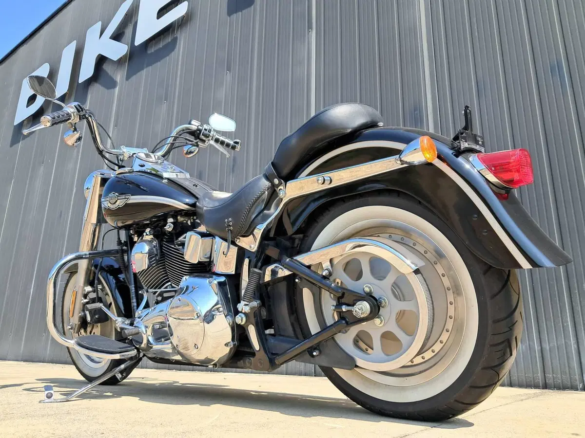 Harley-Davidson Fat Boy (4)