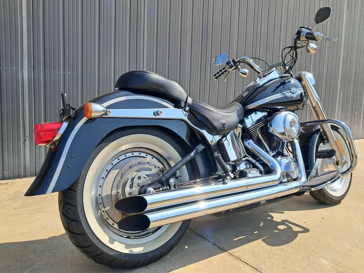 Harley-Davidson Fat Boy (5)