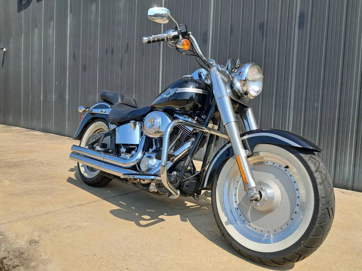 Harley-Davidson Fat Boy (6)