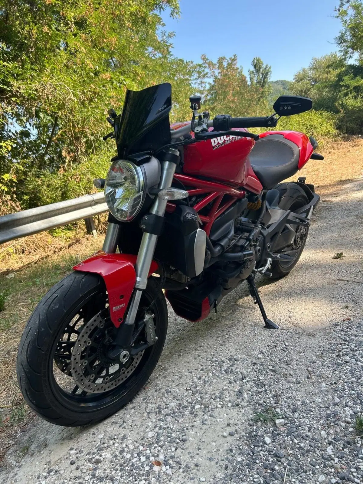 Ducati Monster 1200 (2014 - 16) (2)