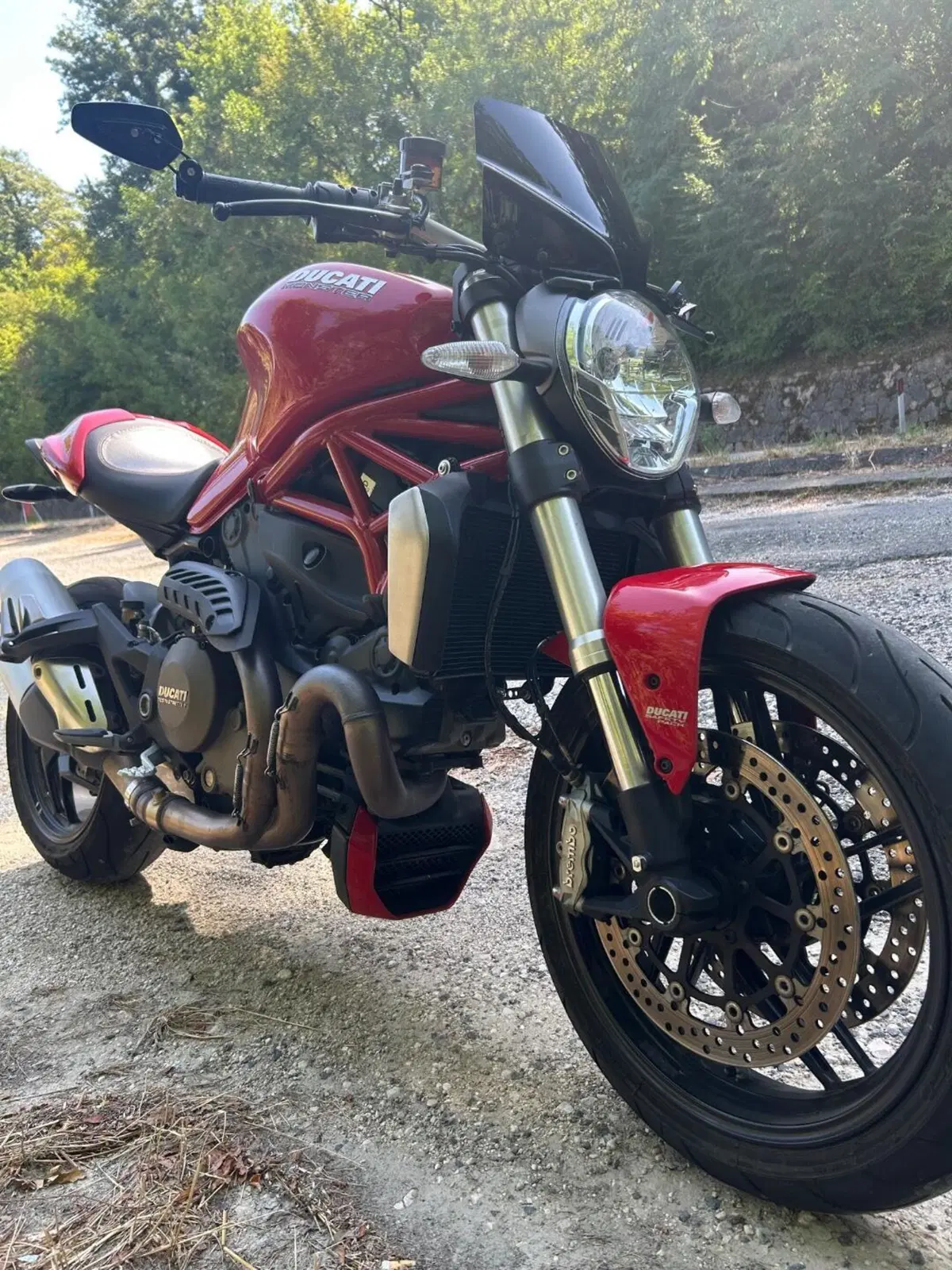 Ducati Monster 1200 (2014 - 16) (4)