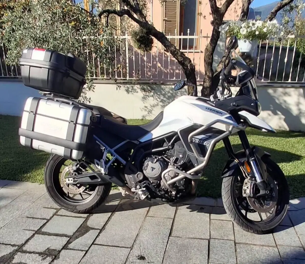 Triumph Tiger 900 GT (2020 - 23) (2)