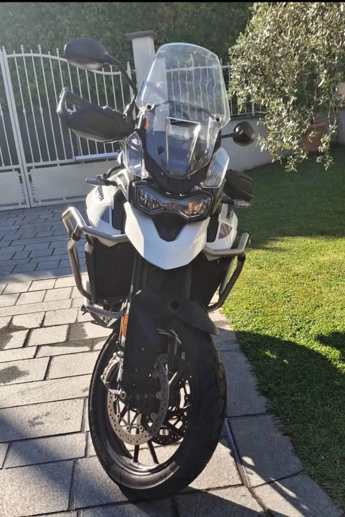 Triumph Tiger 900 GT (2020 - 23) (7)
