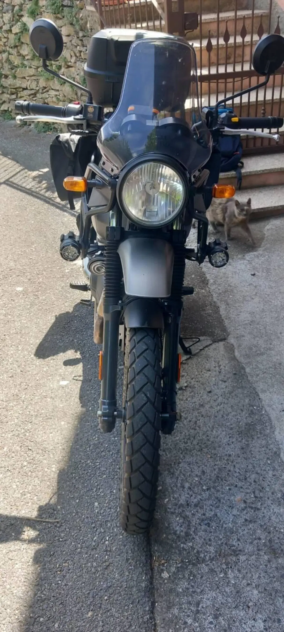 Royal Enfield Himalayan 411 (2021 - 24) (2)