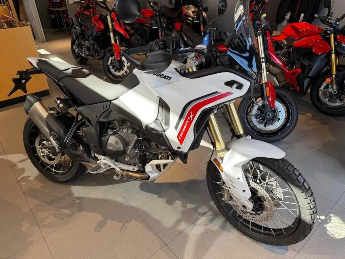 Ducati DesertX (2026) (2)