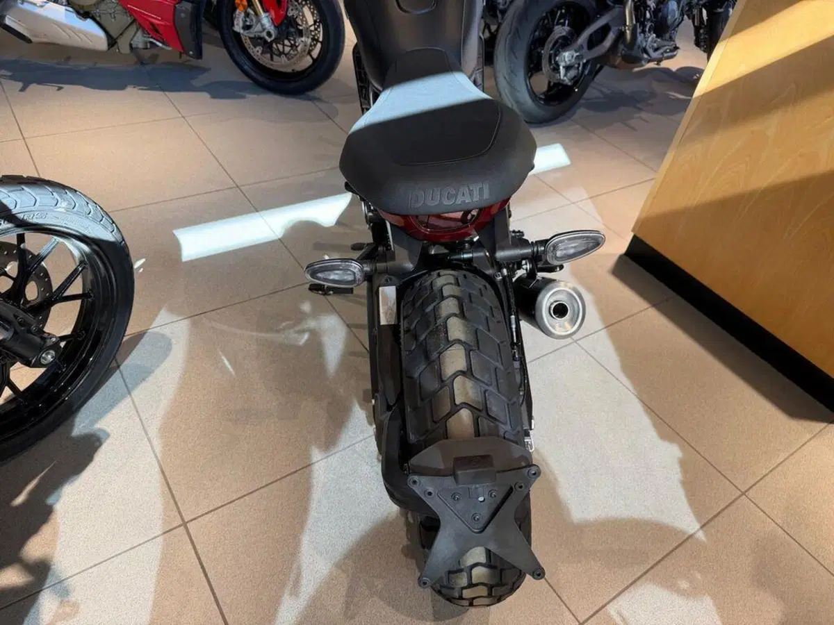 Ducati Scrambler 800 Icon Dark (2025 - 26) (3)