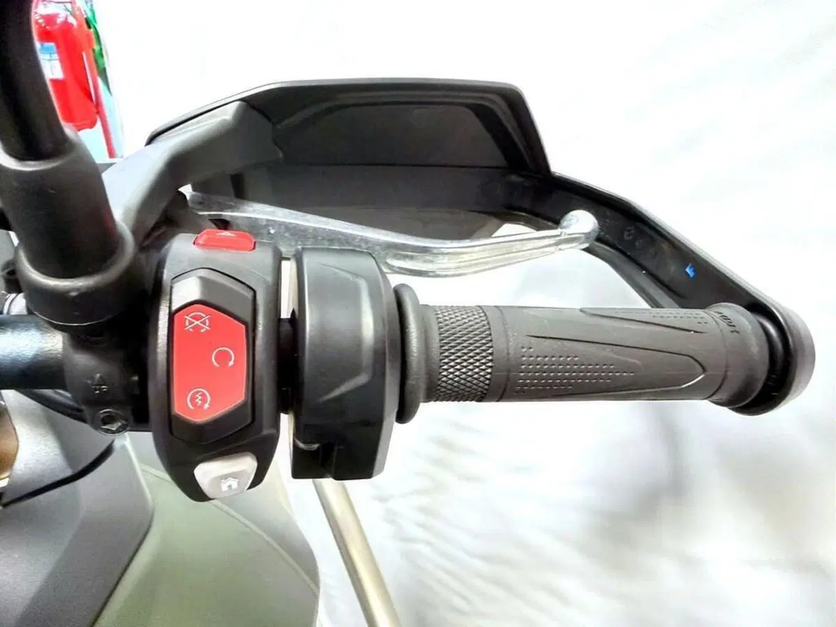 Triumph Tiger 900 Rally Pro (2024 - 26) (10)