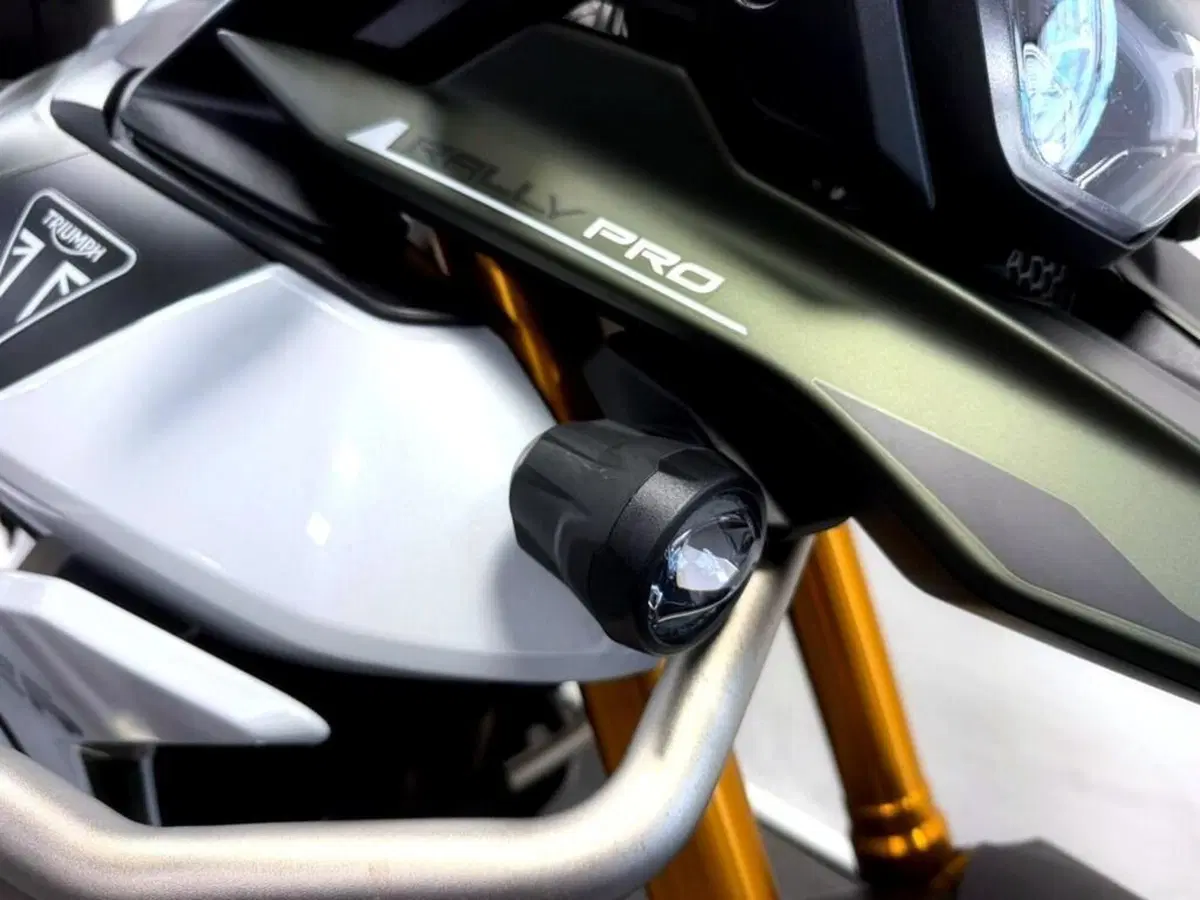 Triumph Tiger 900 Rally Pro (2024 - 26) (14)