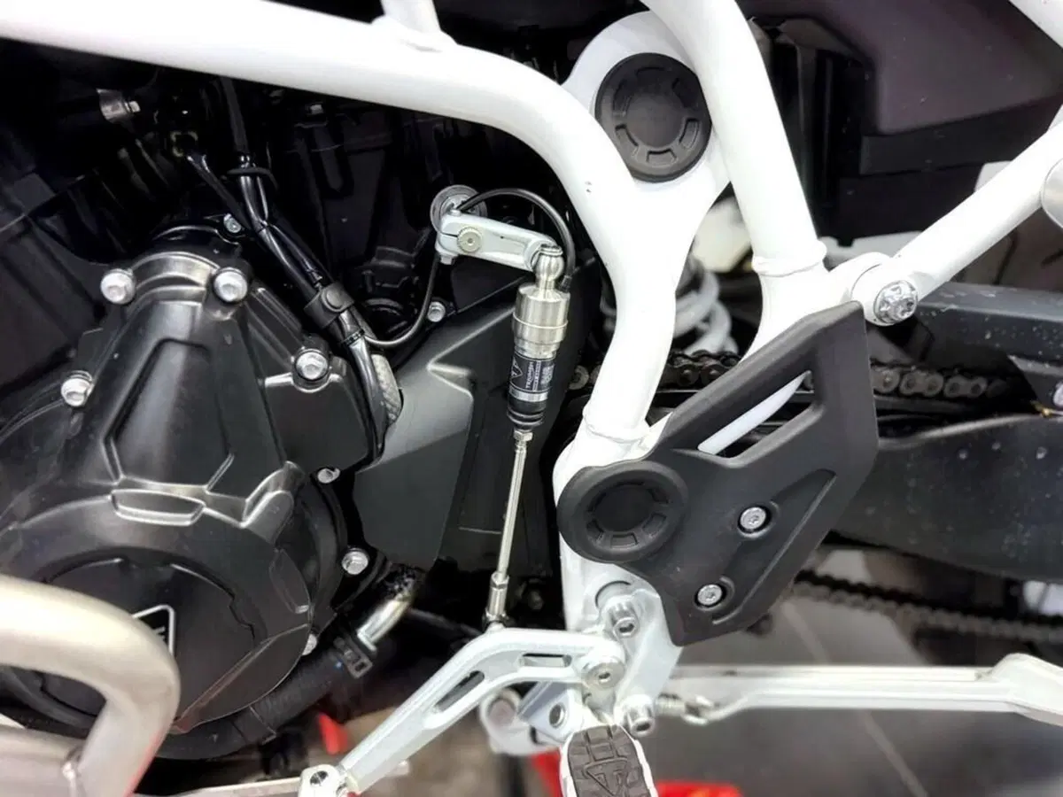 Triumph Tiger 900 Rally Pro (2024 - 26) (15)