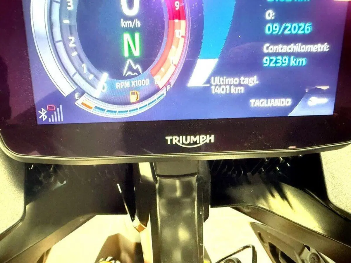 Triumph Tiger 900 Rally Pro (2024 - 26) (9)