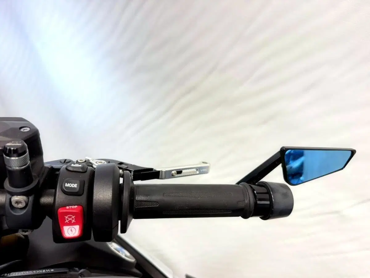 Bmw S 1000 R (2021 - 24) (10)