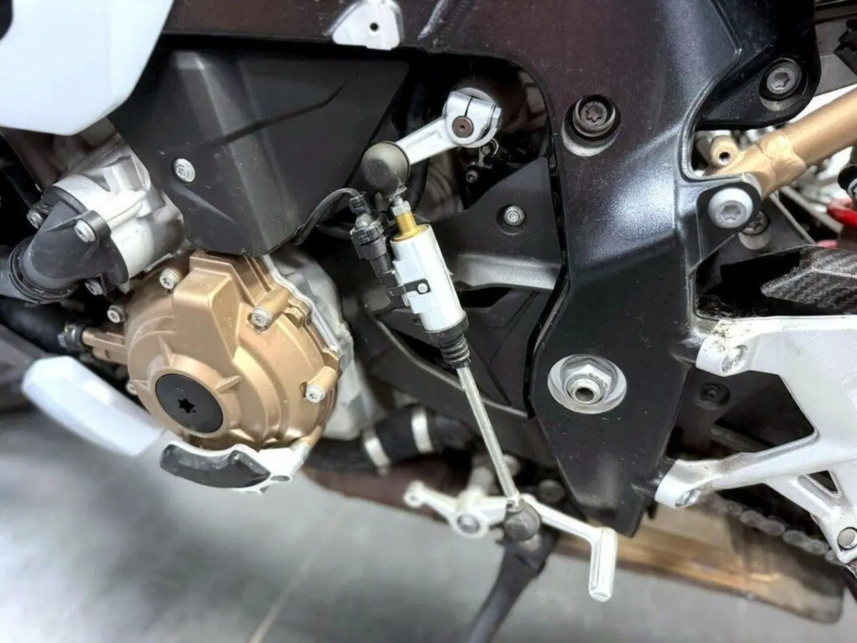 Bmw S 1000 R (2021 - 24) (6)