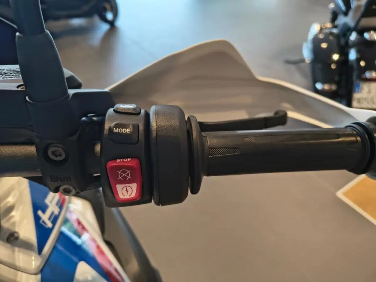 Bmw R 1250 GS (2019 - 20) (7)