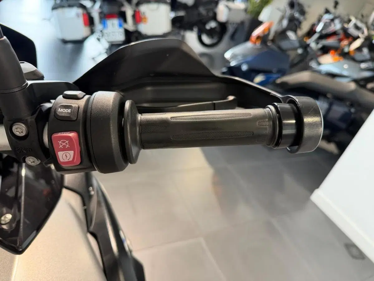 Bmw R 1200 GS (2017 - 18) (10)