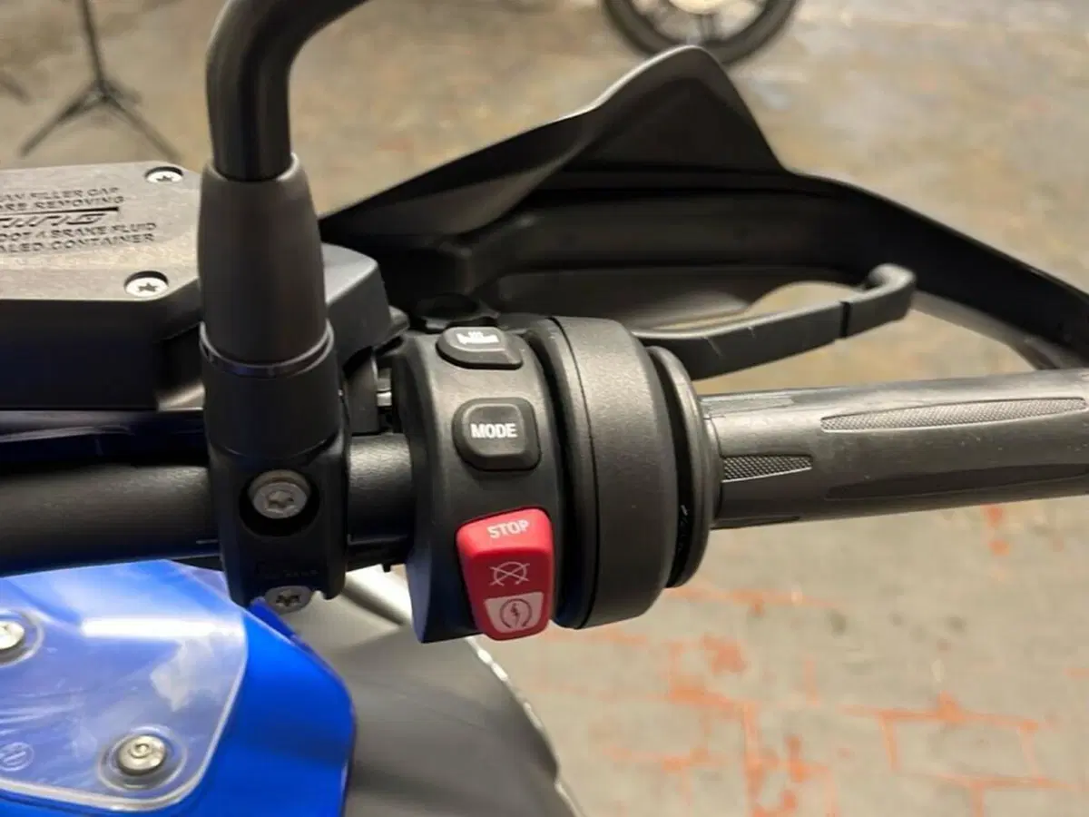 Bmw R 1250 GS Adventure (2019 - 20) (10)