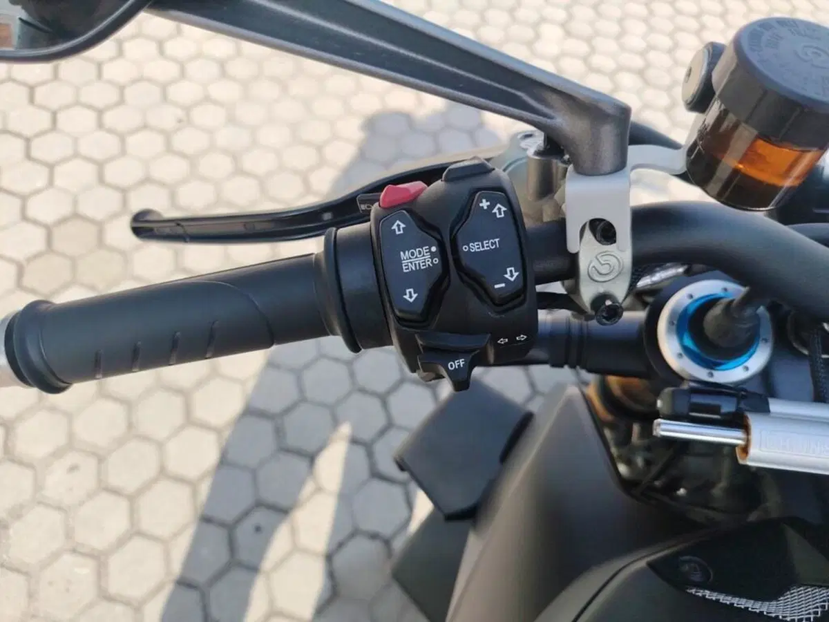 Ducati Streetfighter V4 1100 S (2021 - 22) (9)