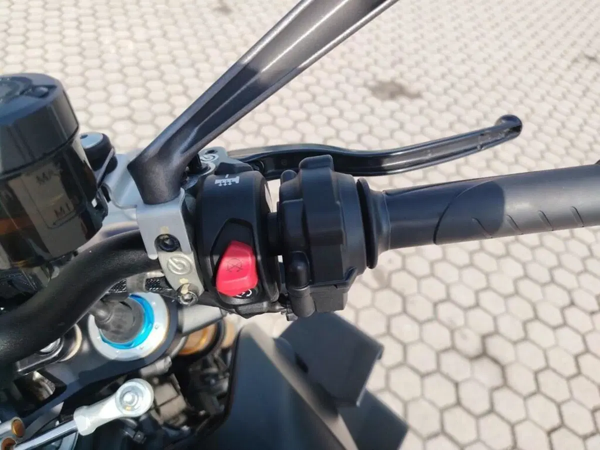 Ducati Streetfighter V4 1100 S (2021 - 22) (10)