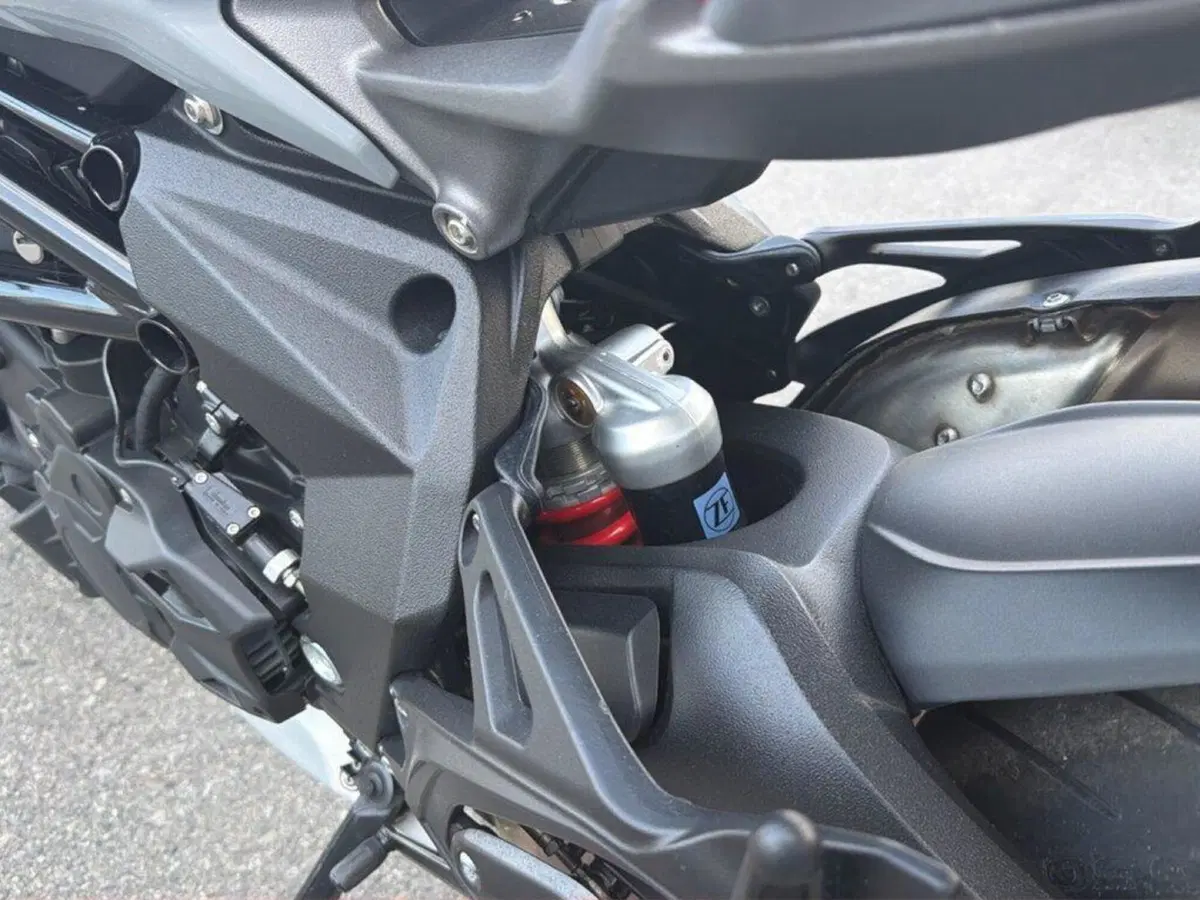 MV Agusta Brutale 800 RR (2021 - 25) (12)