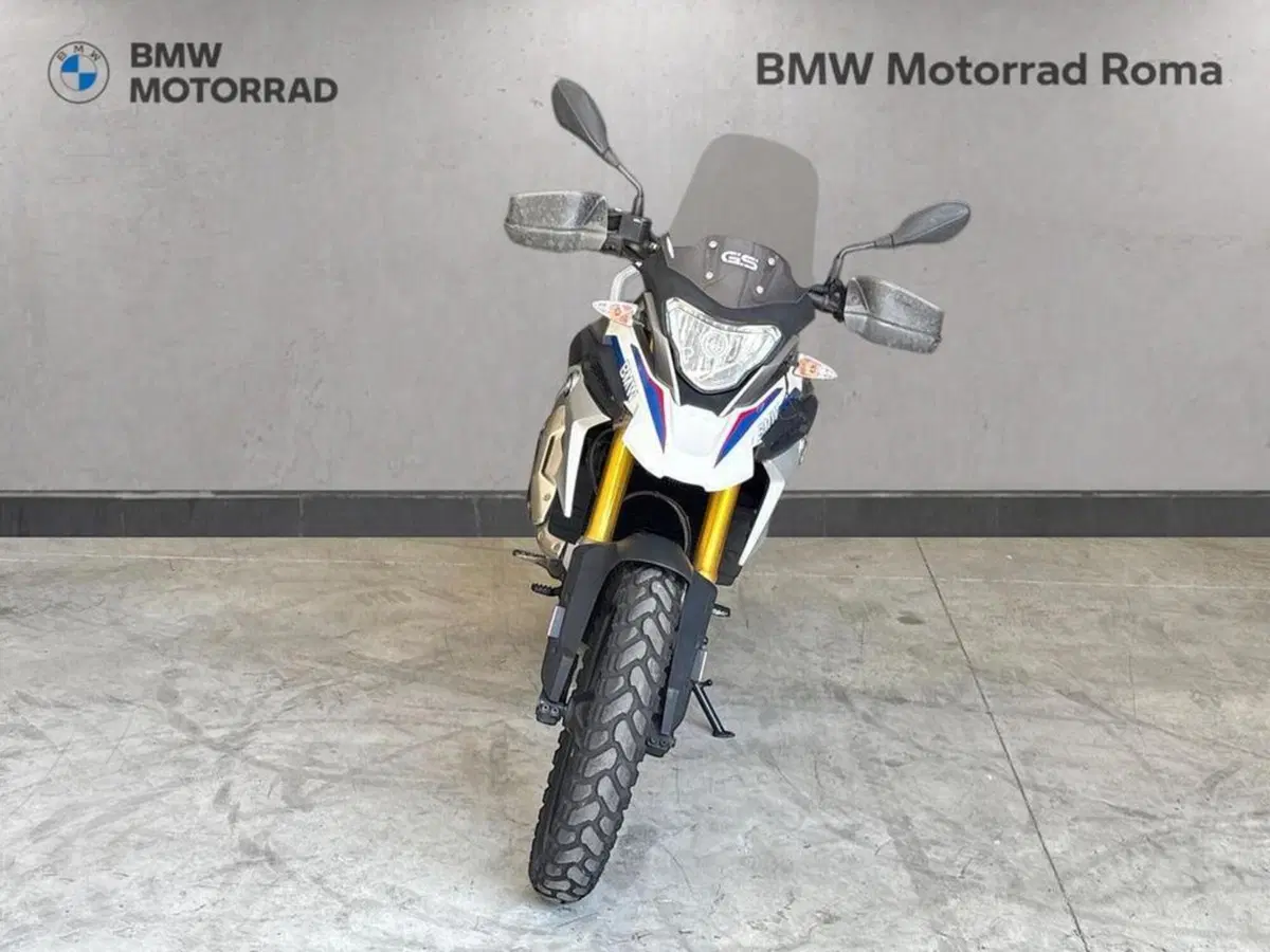 Bmw G 310 GS (2017 - 20) (3)