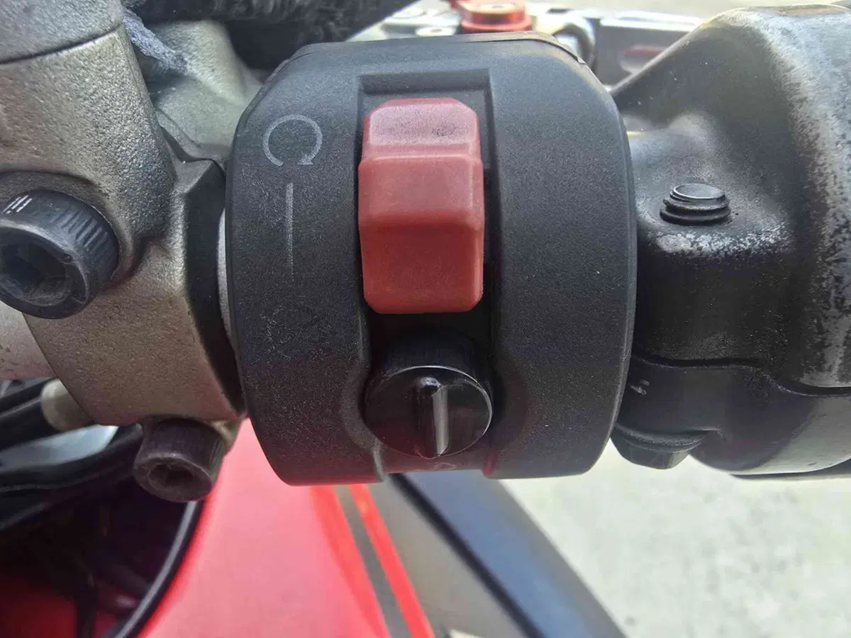 Ducati Diavel 1200 (2010 - 13) (19)