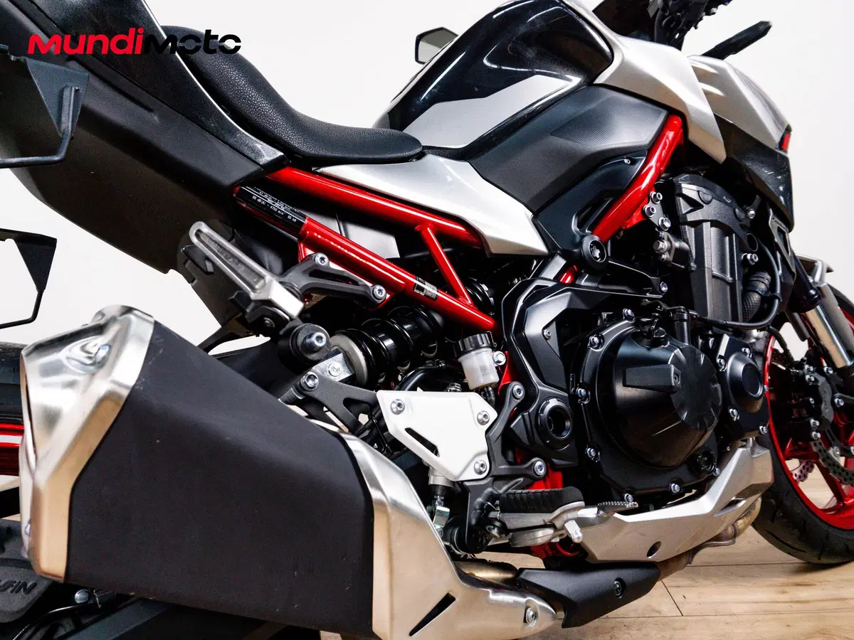 Kawasaki Z 900 (2025 - 26) (4)