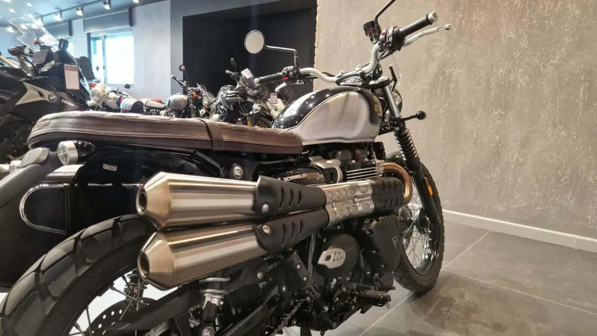 Triumph Scrambler 900 Icon Edition (2025 - 26) (7)