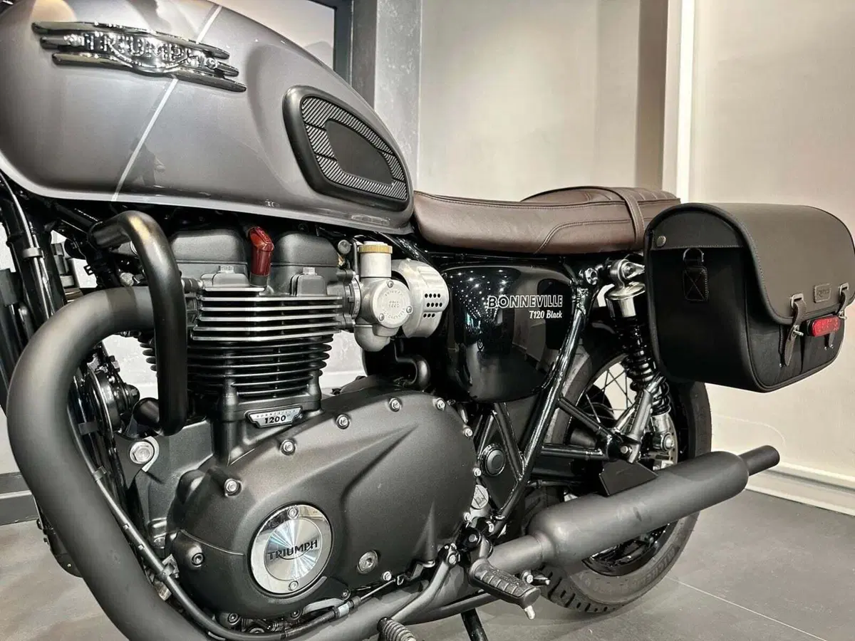 Triumph Bonneville T120 Black (2021 - 25) (14)