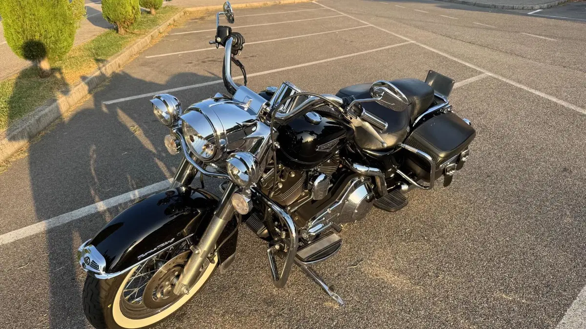 Harley-Davidson 1450 Road King (2002 - 04) - FLHRI (3)