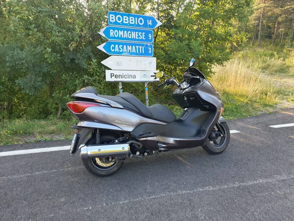 Honda Forza 250 EX (2005 - 07)