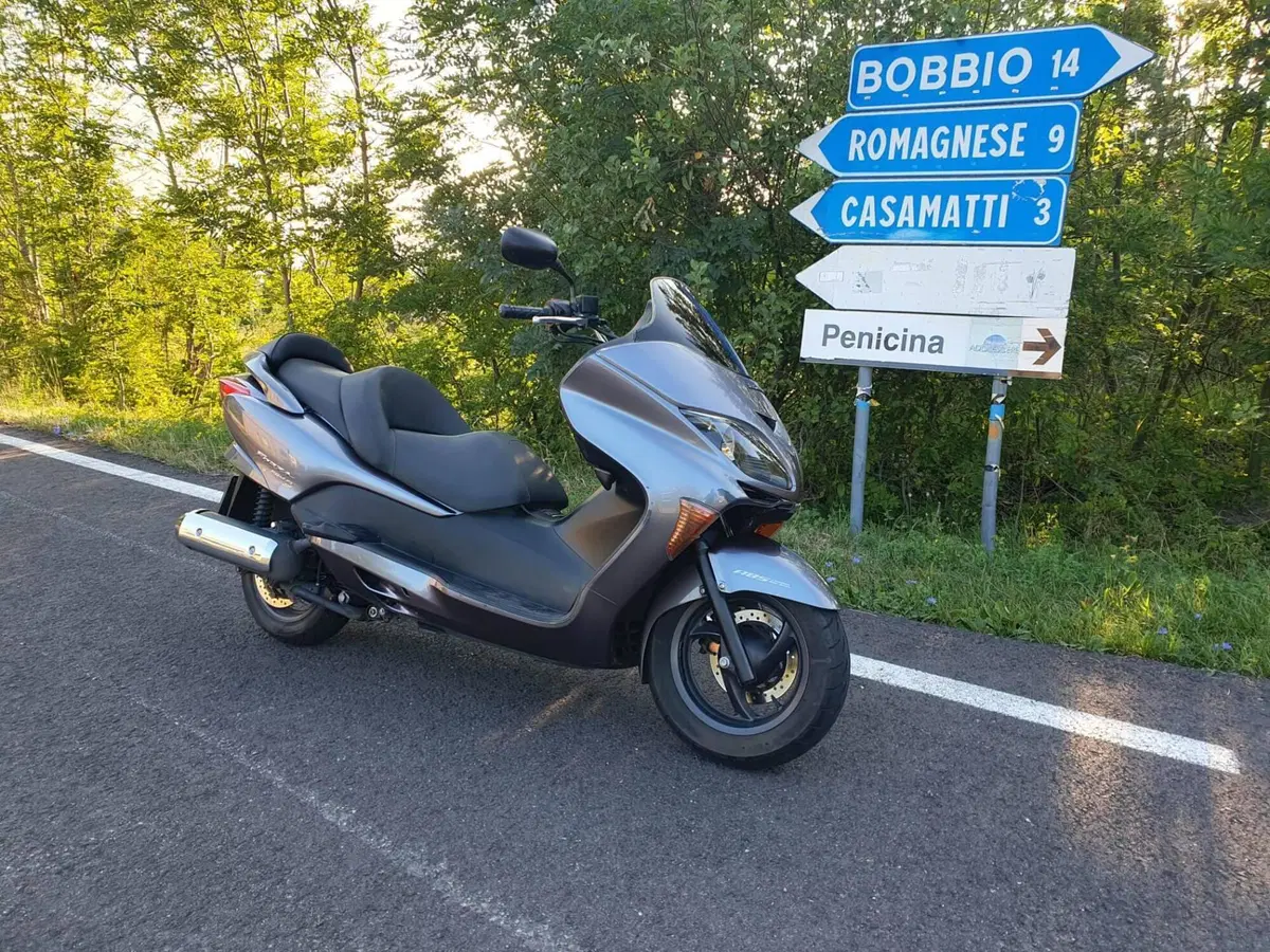 Honda Forza 250 EX (2005 - 07) (2)