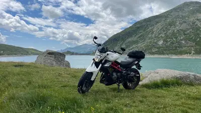 Benelli BN 302 (2017 - 19) usata