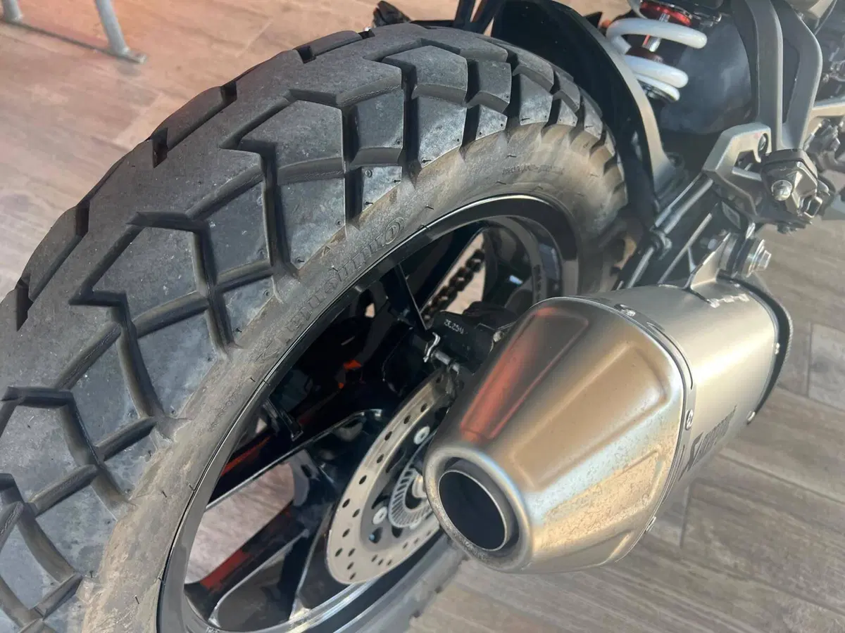 KTM 390 Adventure (2022 - 24) (6)