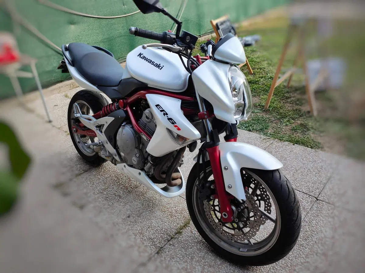 Kawasaki ER-6N (2006 - 09) (2)