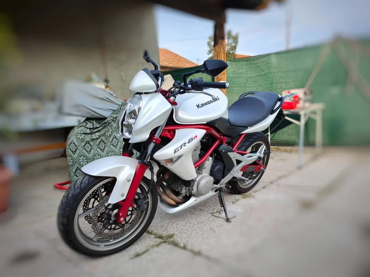 Kawasaki ER-6N (2006 - 09) (3)