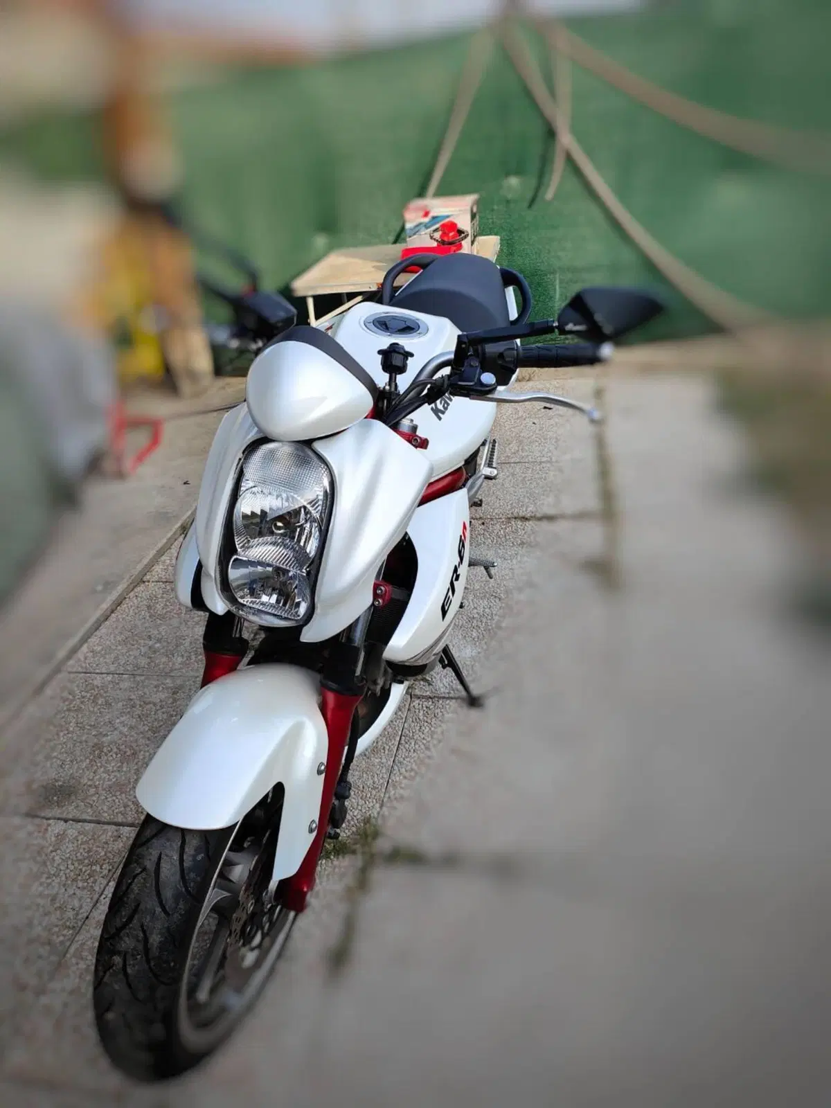 Kawasaki ER-6N (2006 - 09) (4)