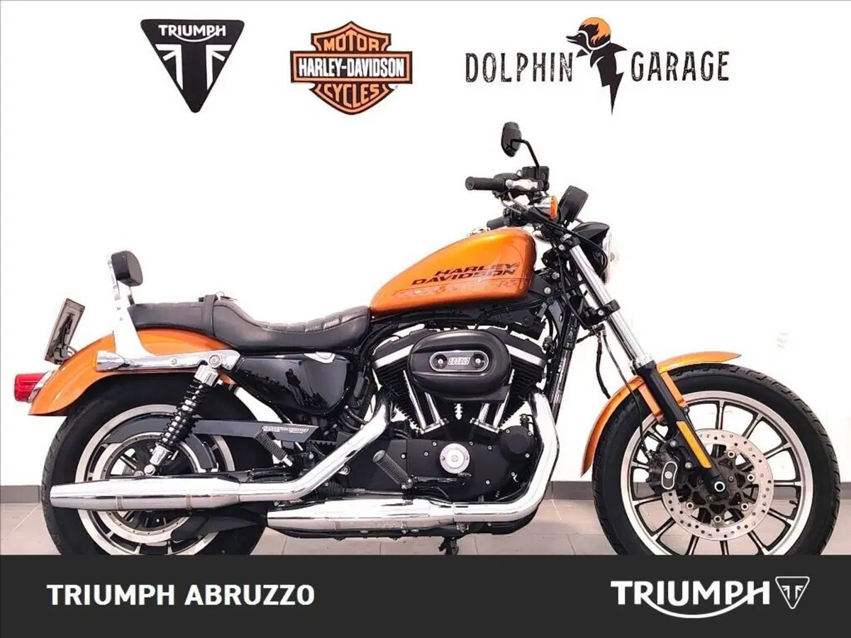 Moto Guzzi V9 Roamer (2016 - 18) (2)