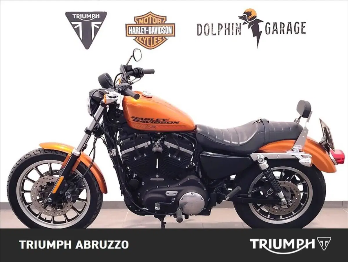 Moto Guzzi V9 Roamer (2016 - 18) (6)