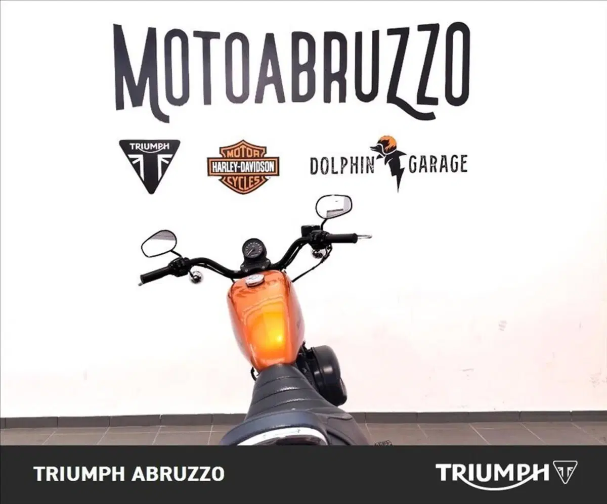 Moto Guzzi V9 Roamer (2016 - 18) (7)