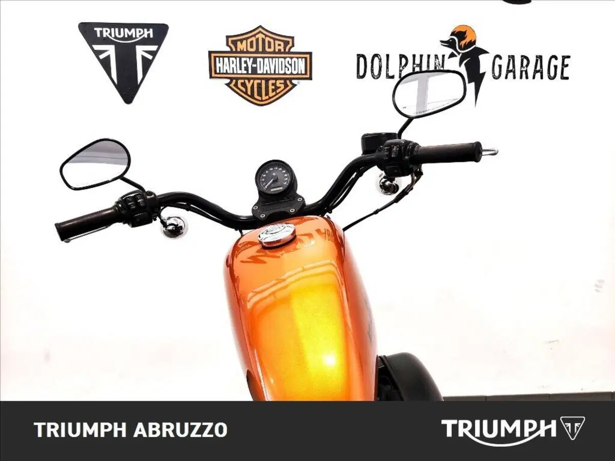 Moto Guzzi V9 Roamer (2016 - 18) (8)