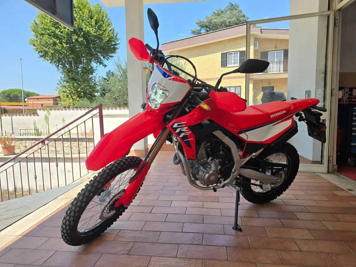 Honda CRF 300L (2025 - 26) (6)