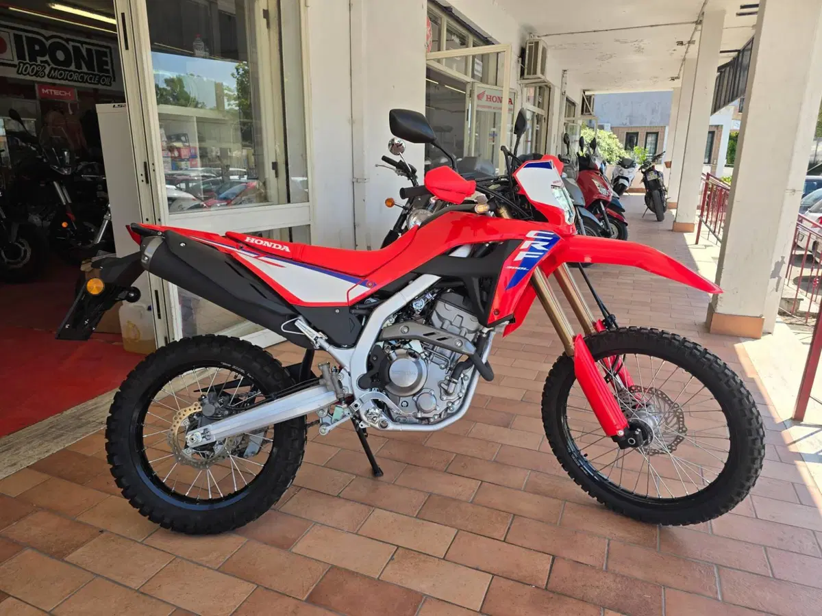 Honda CRF 300L (2025 - 26) (5)