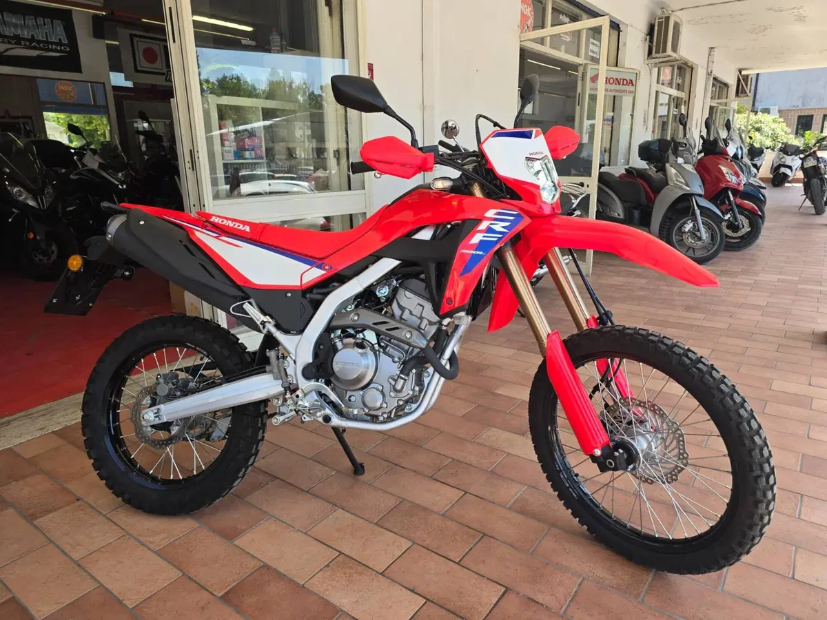 Honda CRF 300L (2025 - 26)
