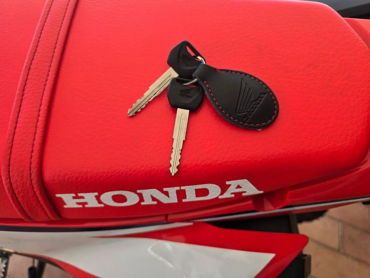 Honda CRF 300L (2025 - 26) (11)