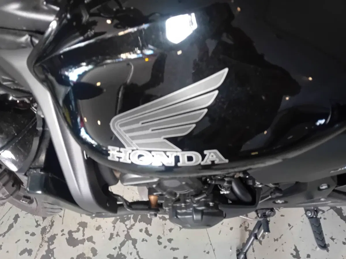 Honda Hornet 600 (2007 - 10) (7)