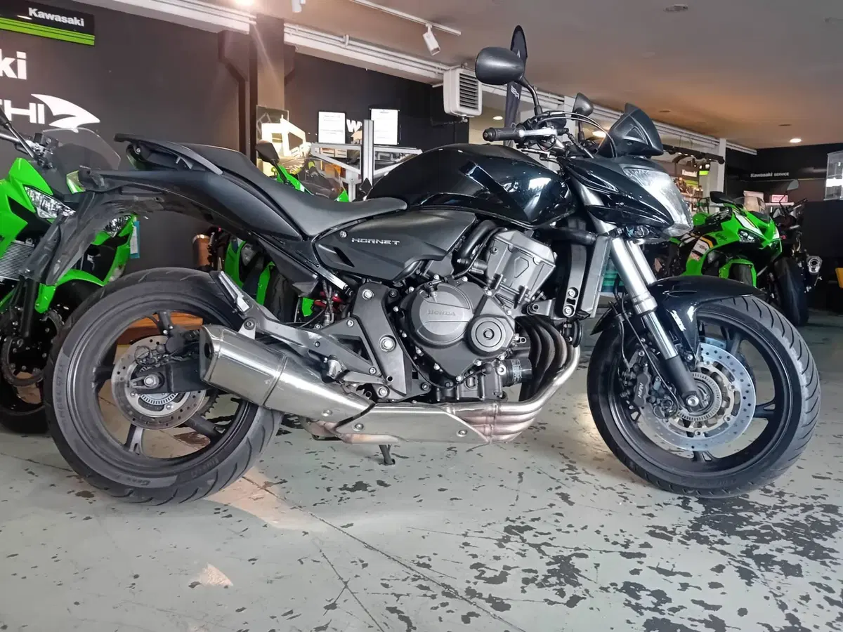Honda Hornet 600 (2007 - 10) (8)