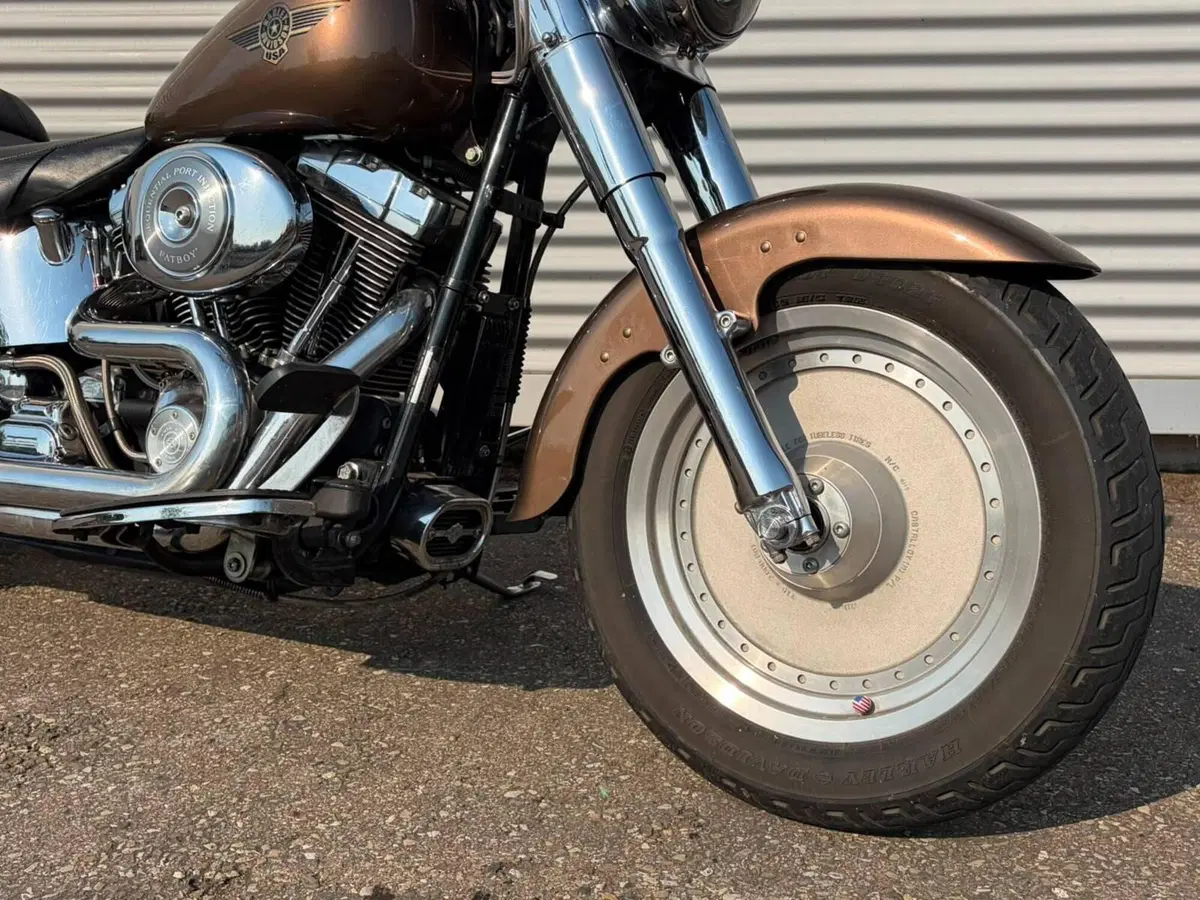 Harley-Davidson 1450 Fat Boy (2003 - 06) - FLSTFI (3)